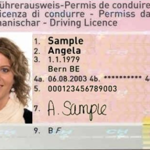 Schweizer Führerschein Kaufen